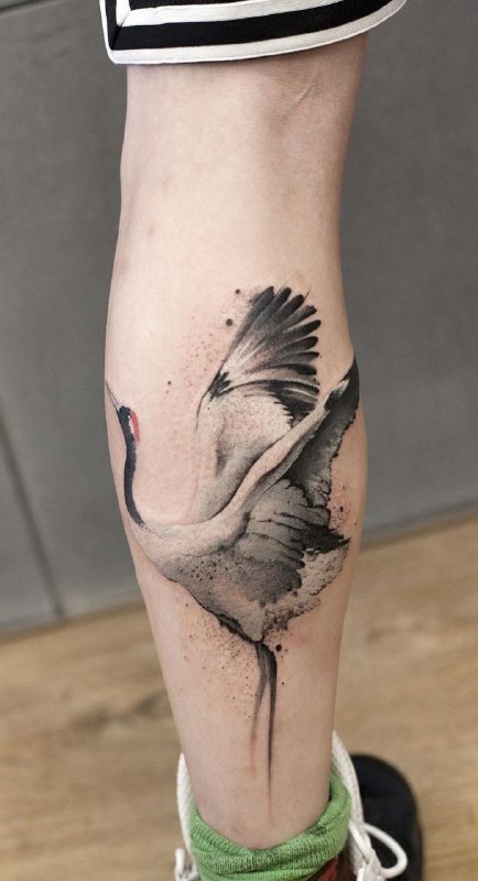 Colored stork tattoo on the calf for men