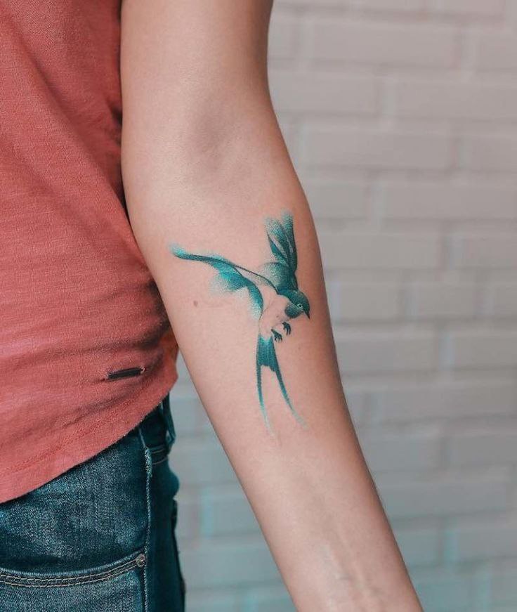 Color swallow tattoo on forearm for men