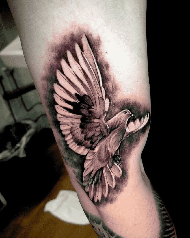 Large tattoo of a dove on the arm for men