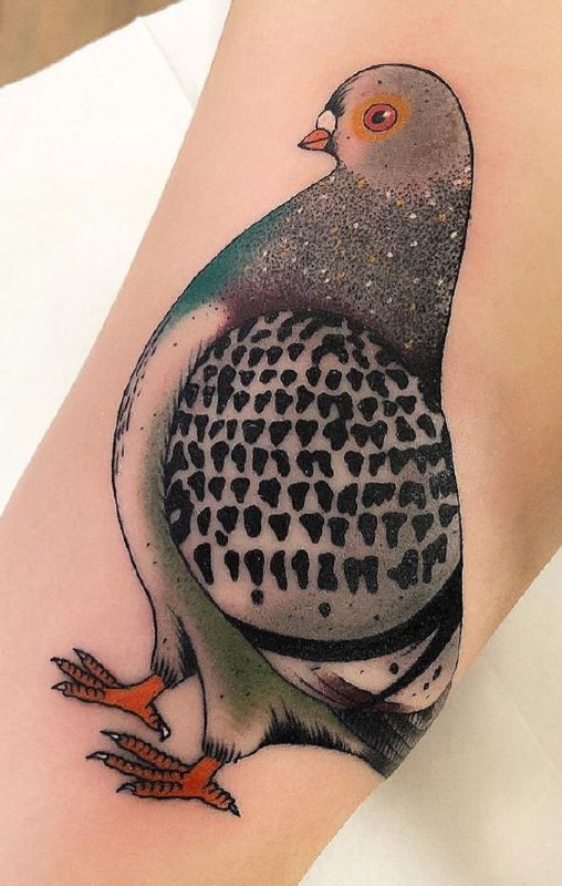 Large tattoo of a dove on the arm for women