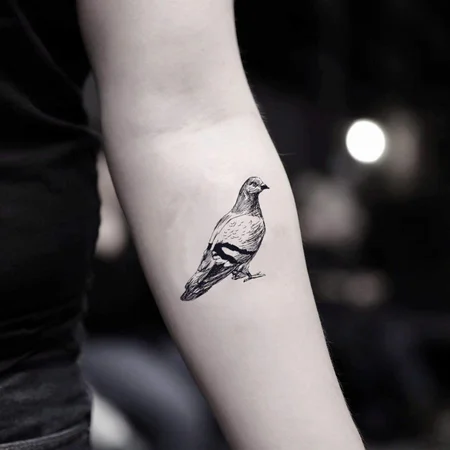 Small tattoo of a dove on the forearm for men