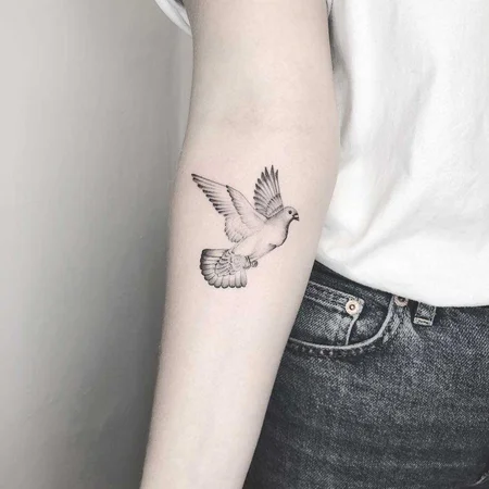 Tattoo of a dove on the forearm for women