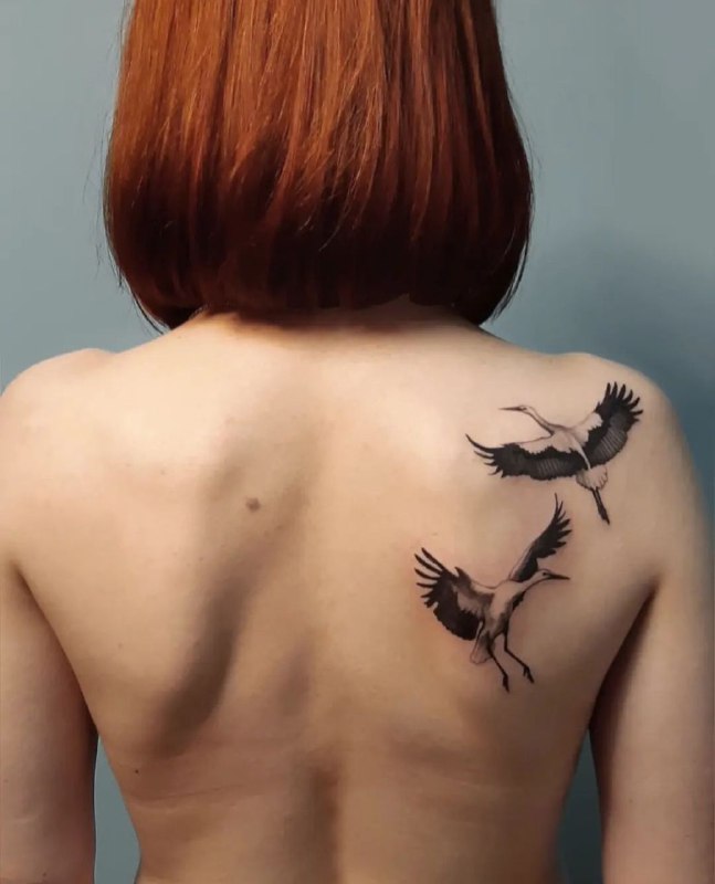 Tattoo of two storks on the shoulder blade for women