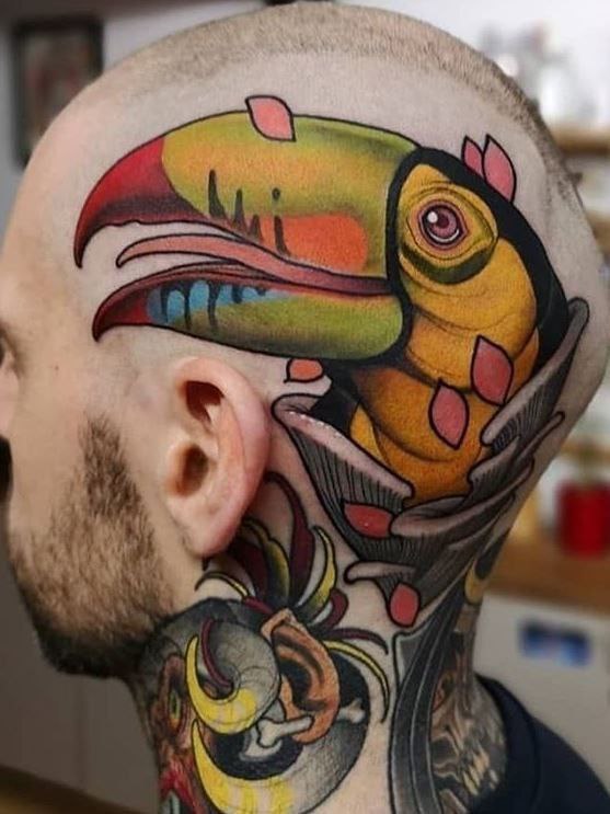 Colored parrot tattoo on the head for men