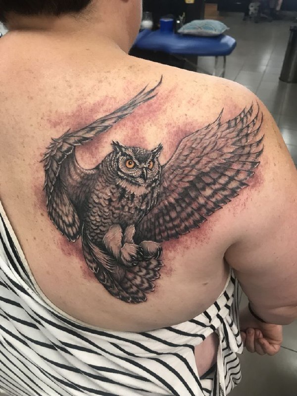 Large owl tattoo on the shoulder blade for men