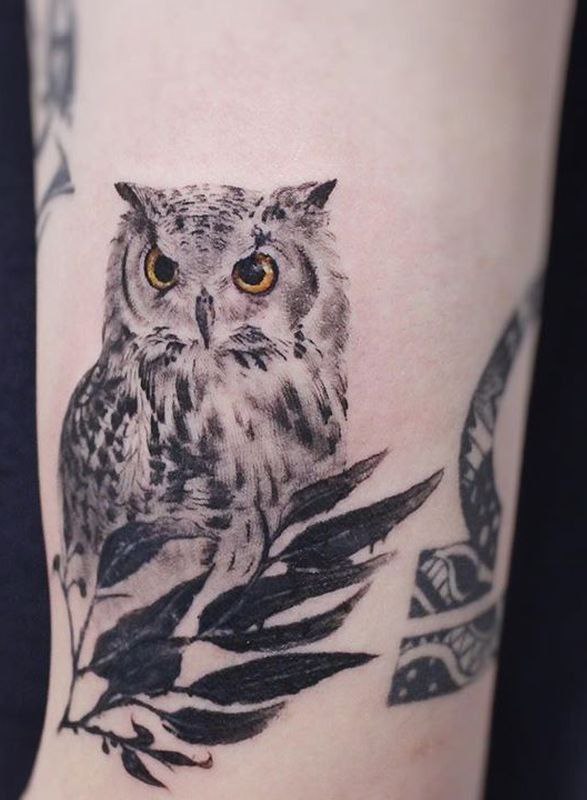 Tattoo of an owl on the arm for men