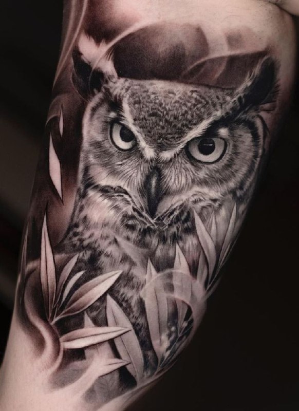 Large owl tattoo on the arm for men