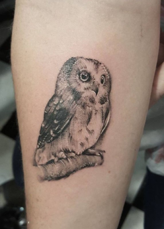 Large owl tattoo on the forearm for men