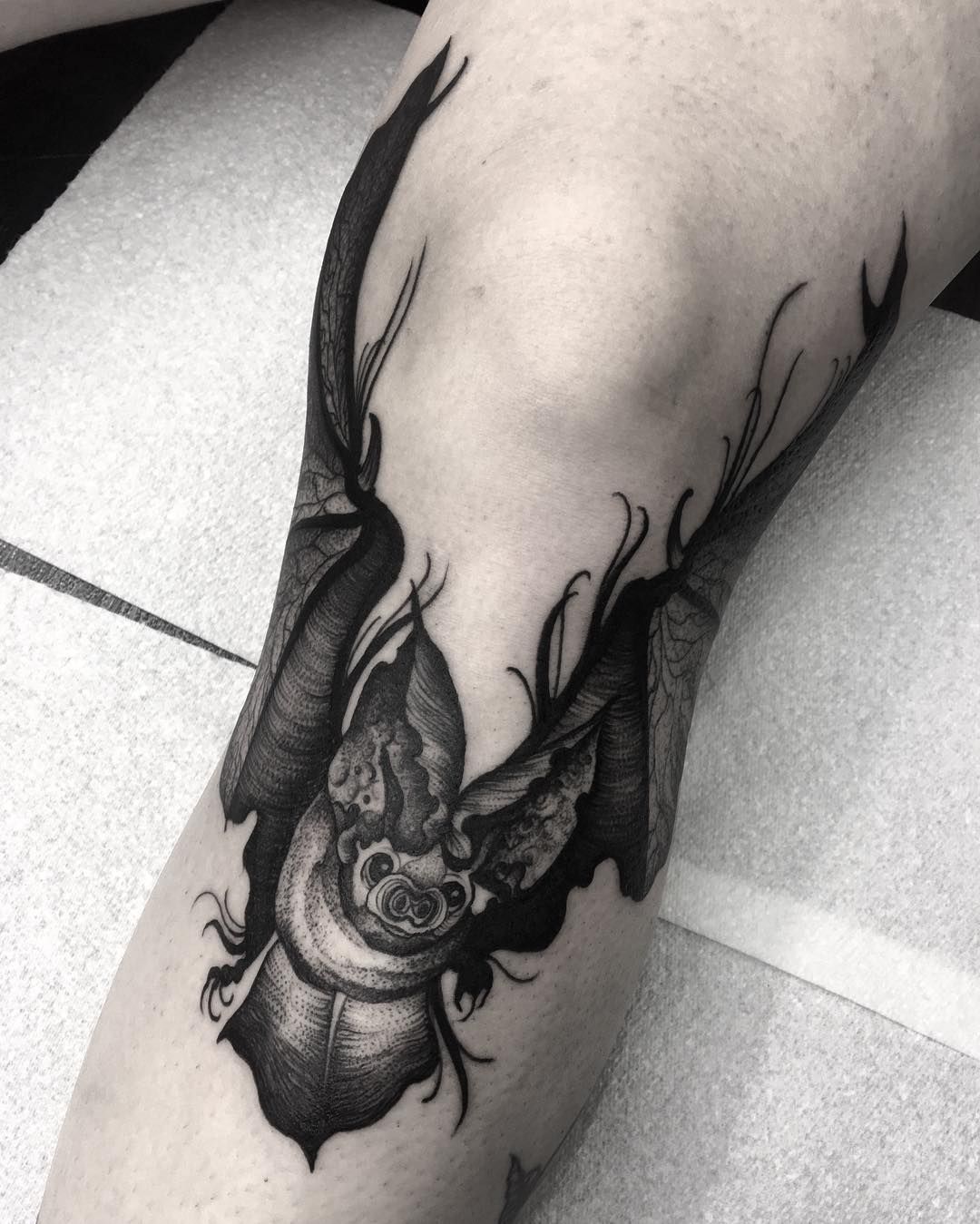 Bat tattoo on the knee for men