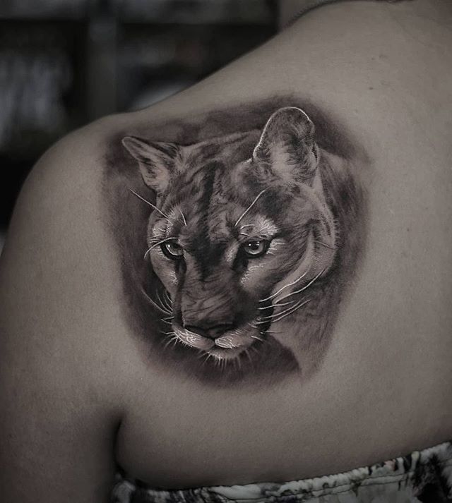 Cougar tattoo on the shoulder blade for women