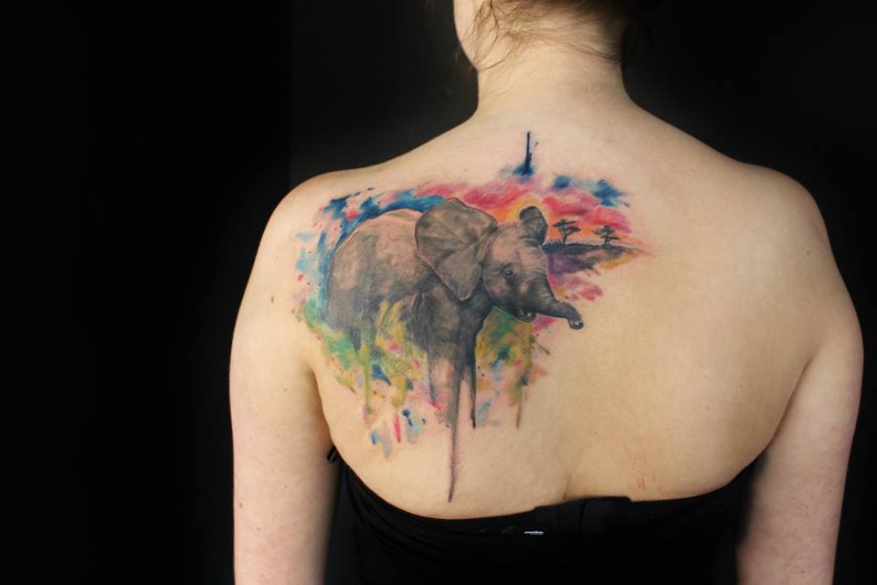 Color elephant tattoo on the shoulder blade for women