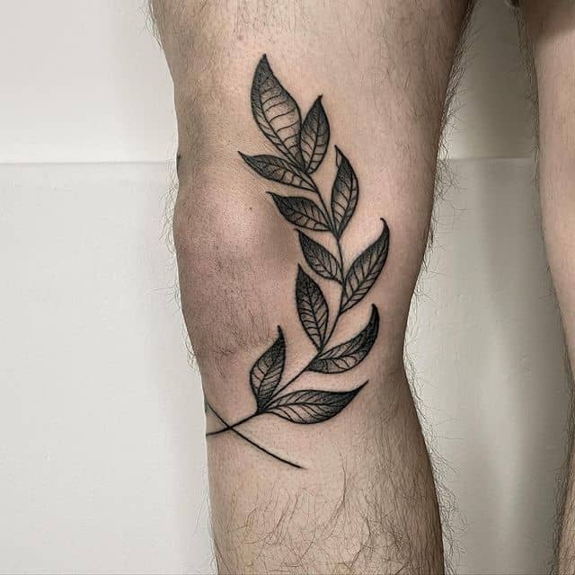 Tattoo of a twig on the knee for men