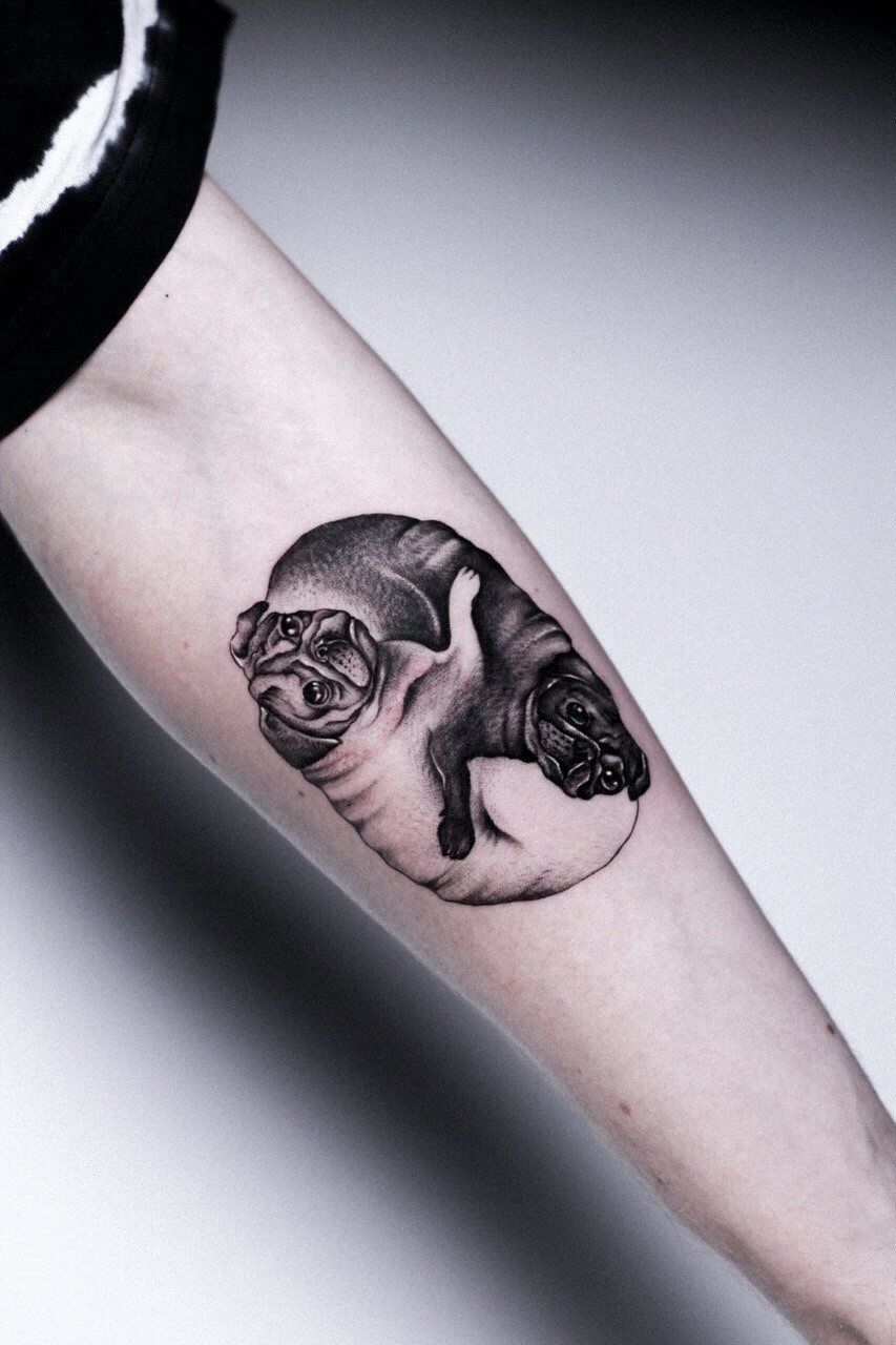 Tattoo of two pugs on the forearm for men