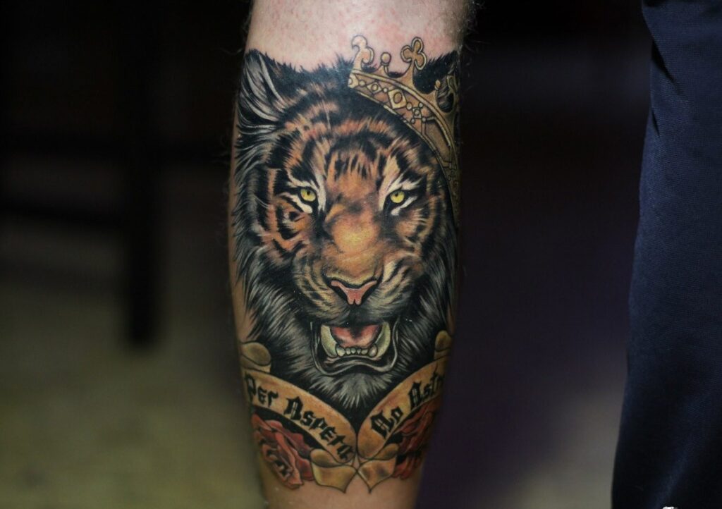 Color tattoo of a tiger on a calf for men