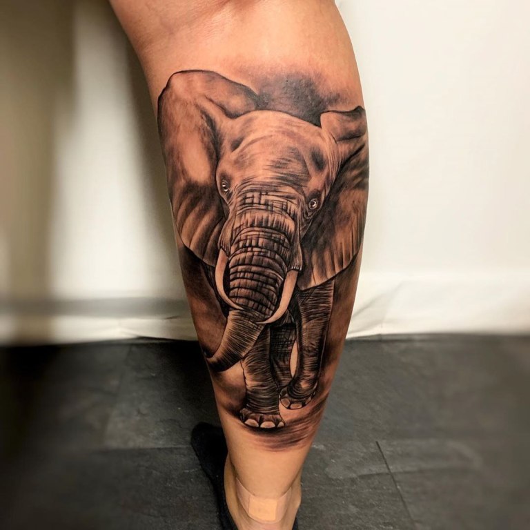 Large elephant tattoo on the calf for women