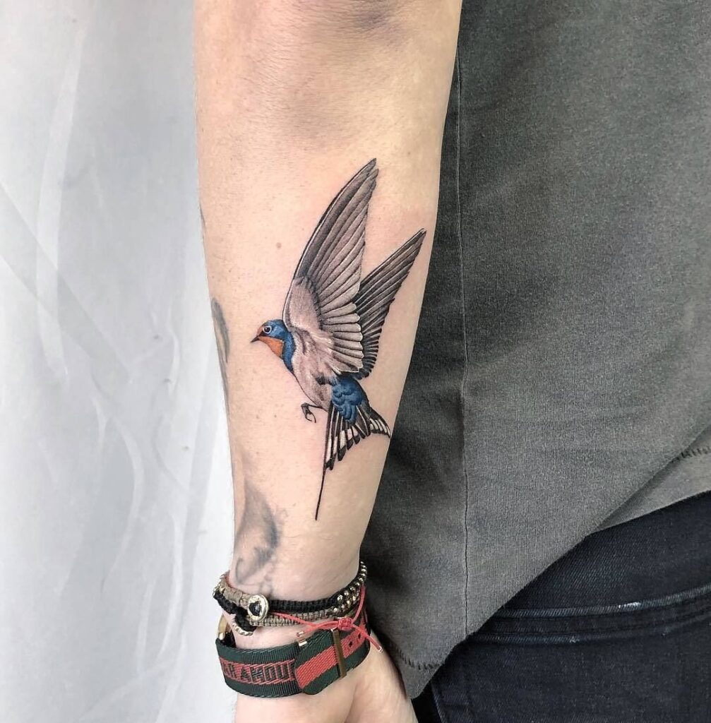 Color swallow tattoo on the arm for men