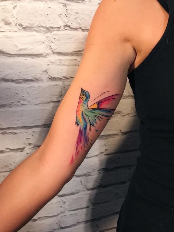 Colorful bird tattoo on the shoulder for women