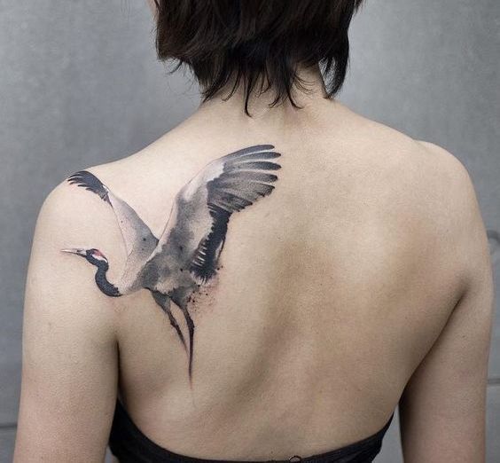 Large crane tattoo on the shoulder blade for women