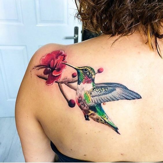 Colored hummingbird and flower tattoo on the shoulder blade for women