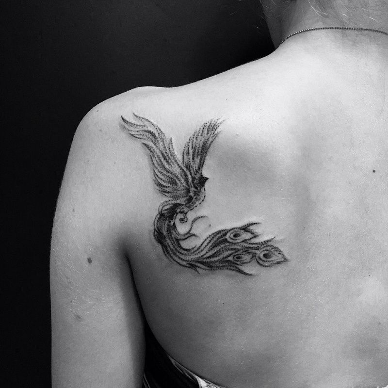 Phoenix tattoo on the shoulder blade for women