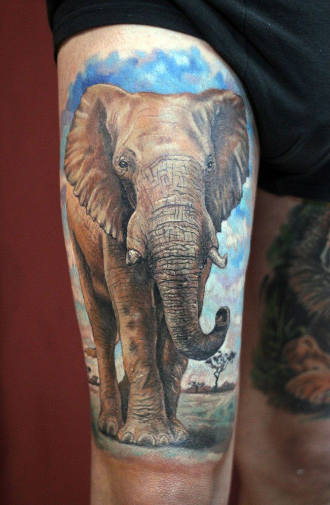 Color elephant tattoo on the hip for men