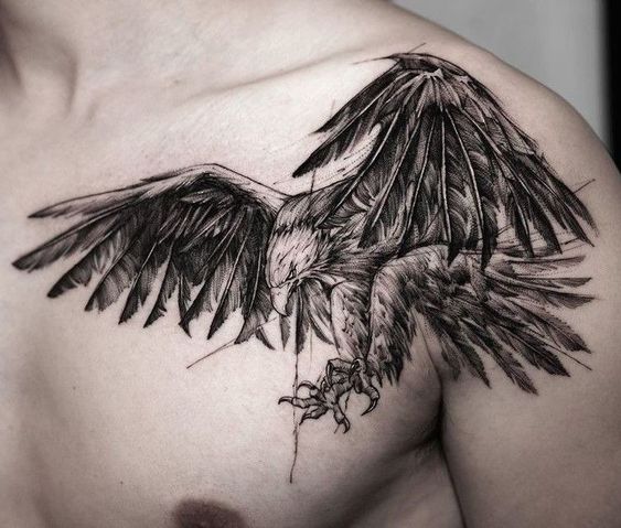 Tattoo of a hawk on the chest for men