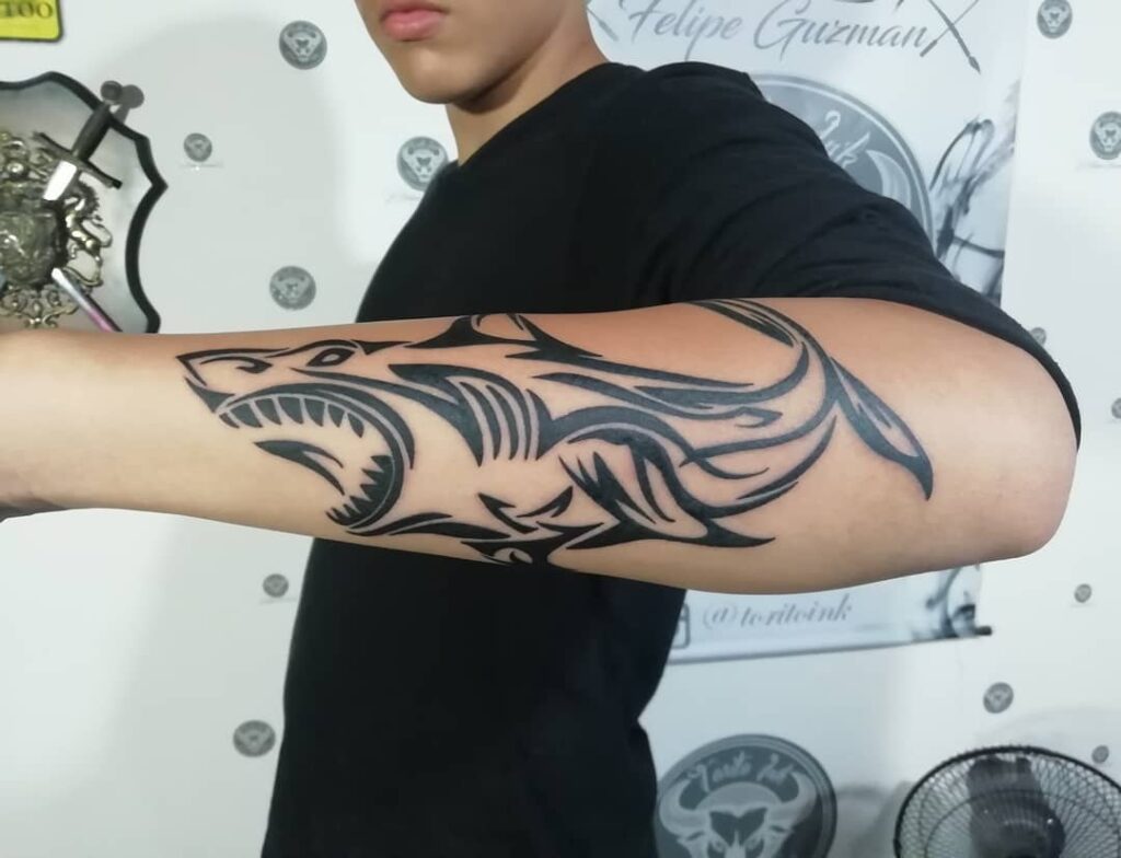 Shark tattoo in tribal style on forearm for men