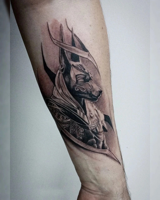 Anubis tattoo on forearm for men