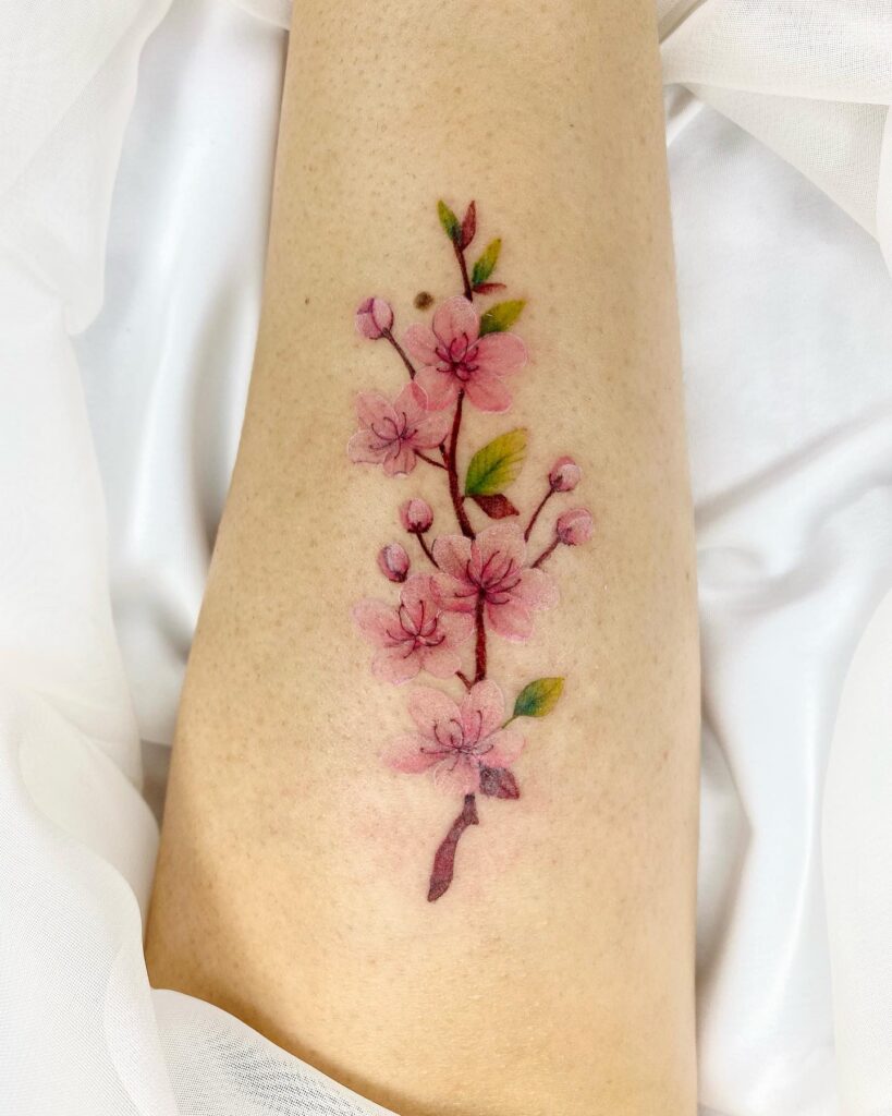 Sakura color tattoo on forearm for women