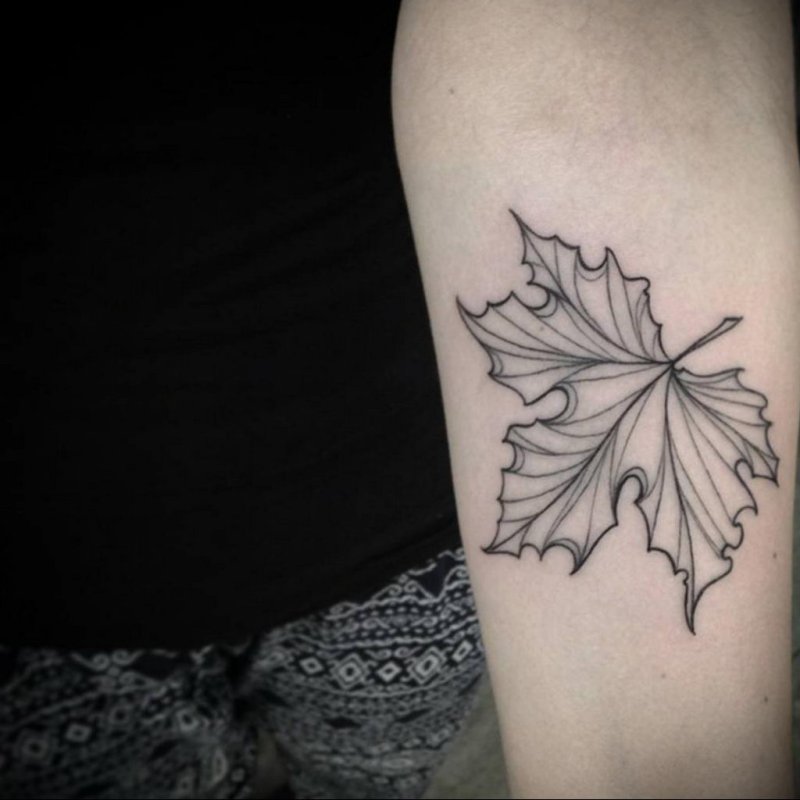 Maple leaf tattoo on forearm for women