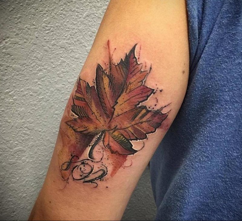 Maple leaf tattoo on shoulder for men