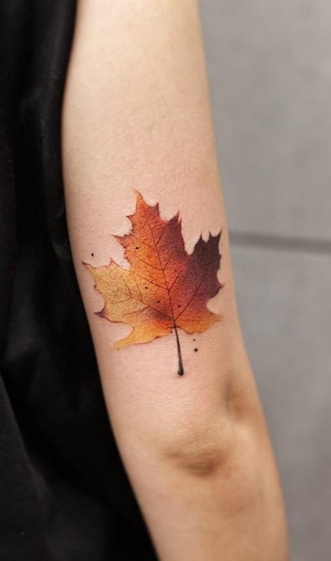 Maple leaf tattoo on shoulder for men