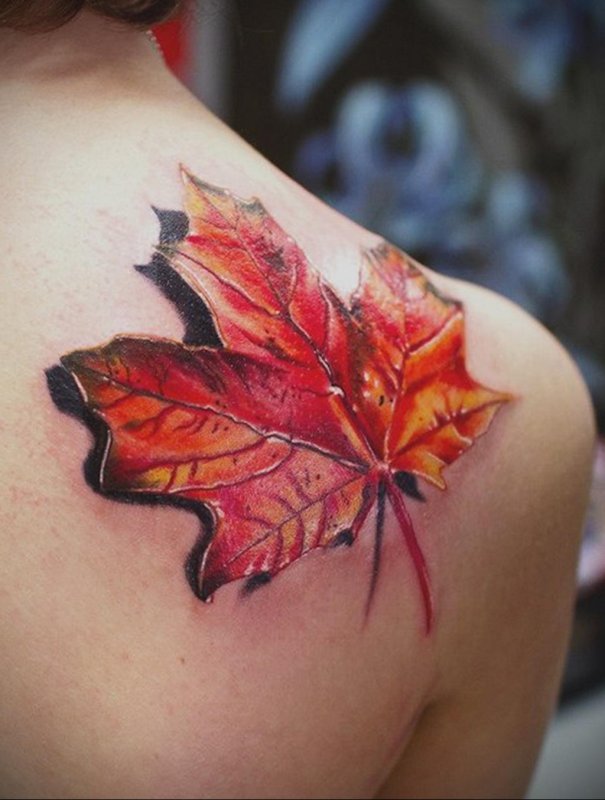 Maple leaf color tattoo on the shoulder blade for men