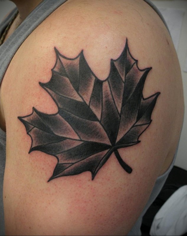 Large maple leaf tattoo on the shoulder for men