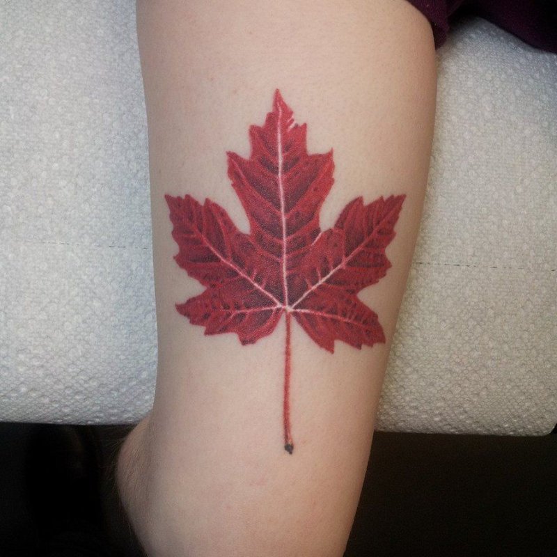 Maple leaf tattoo on shoulder for men