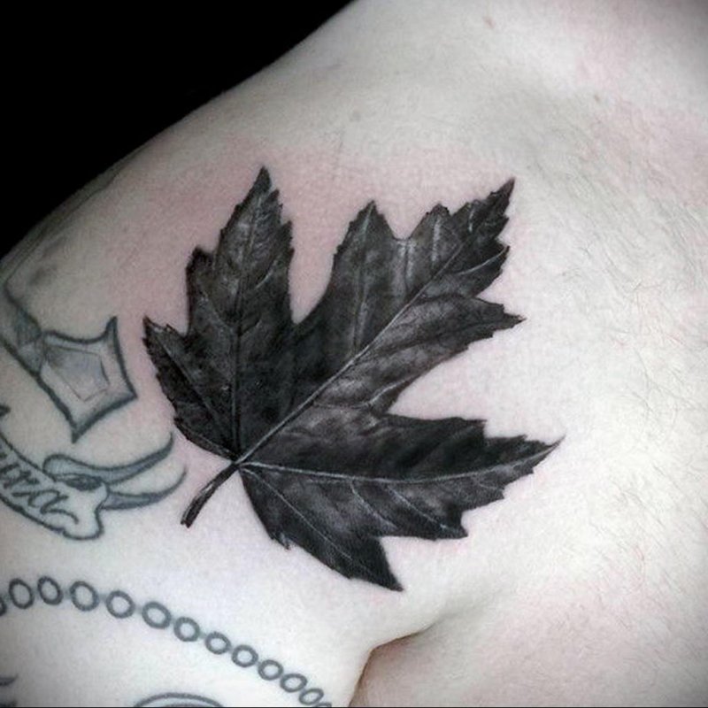 Maple leaf tattoo on shoulder for men