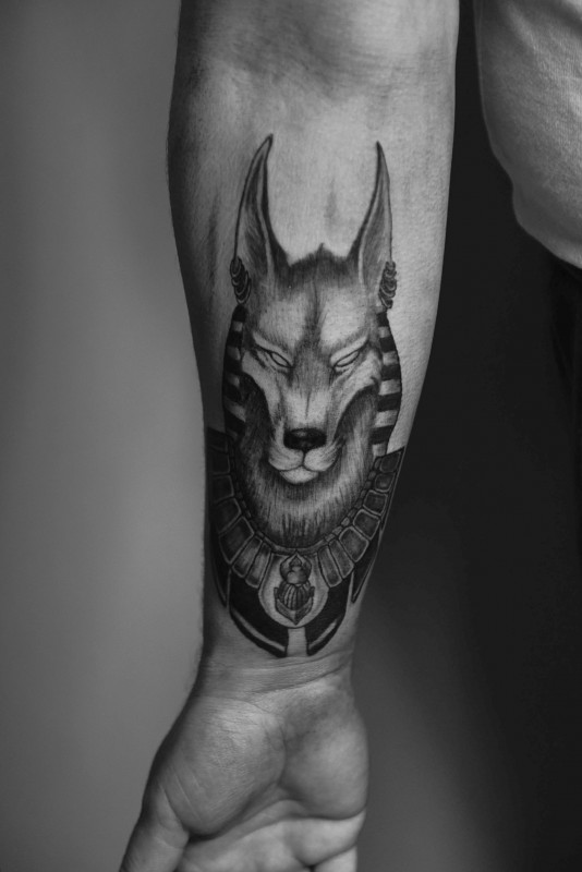 Anubis tattoo on forearm for men