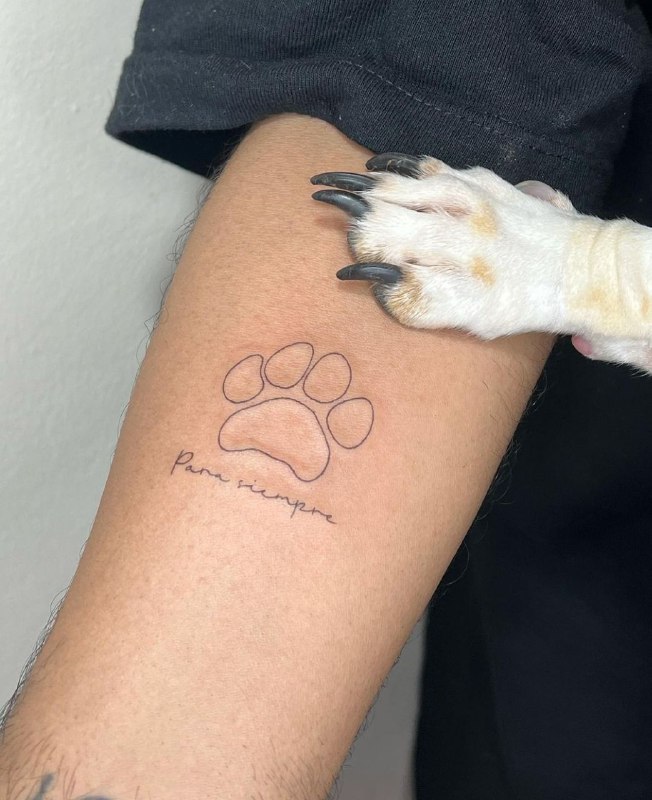 Minimalist paw tattoo on the shoulder for men