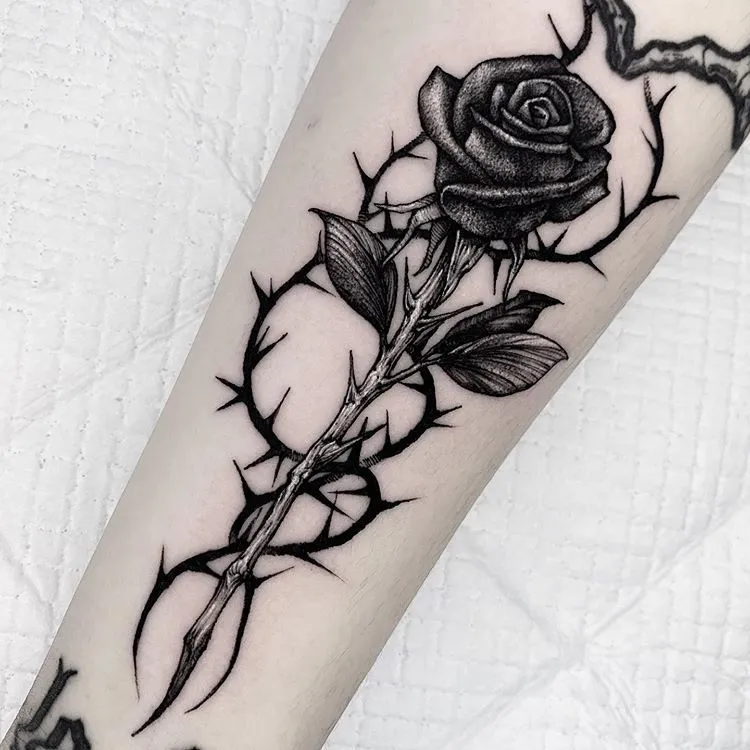 Barbed wire and rose tattoo on arm for women