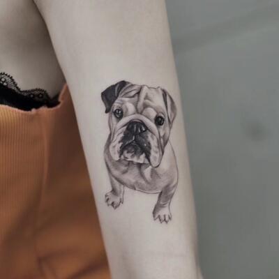 bulldog tattoo (1)