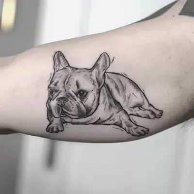 bulldog tattoo (2)