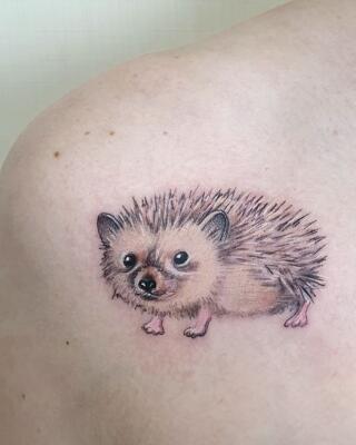 hedgehog tattoo (2)