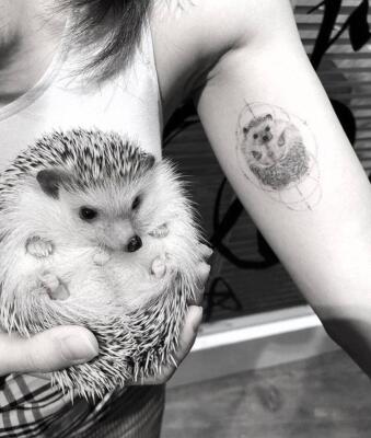 hedgehog tattoo (5)