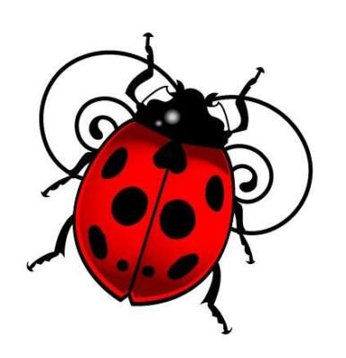 ladybug tattoo (1)