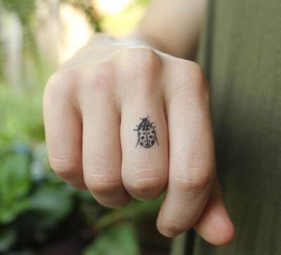 ladybug tattoo (1)