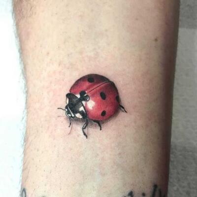 ladybug tattoo 83