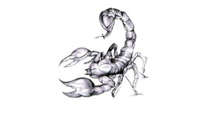 scorpion tattoos (5)