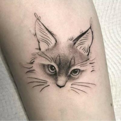 tattoo lynx (3)