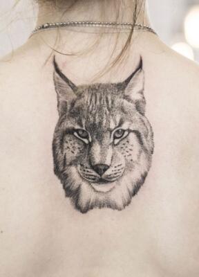 tattoo lynx (5)