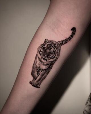 tiger tattoos (3)